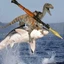Shark raptor rocket launcher