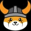 FLOKI