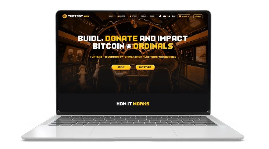 TurtSat: The Expanding DeFi Coin