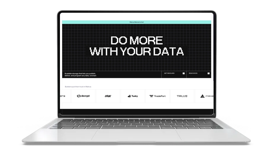 Walrus: Decentralized Storage Token