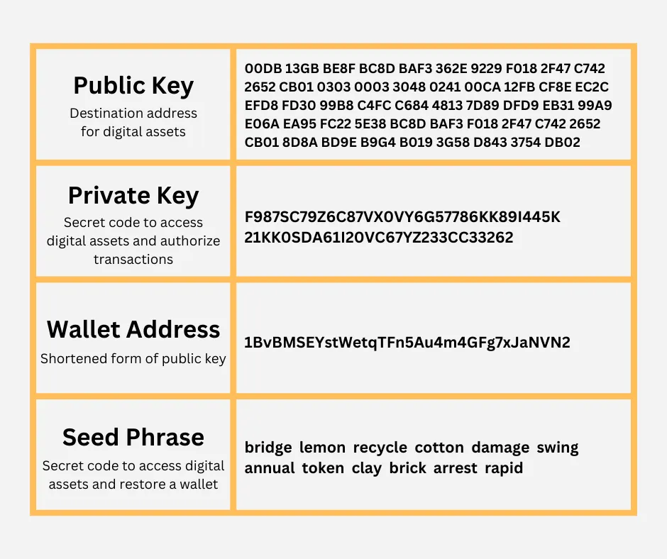 How to Create and Manage Your Own Crypto Wallet How to Create and Manage Your Own Crypto Wallet